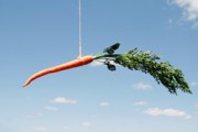 dangling carrot