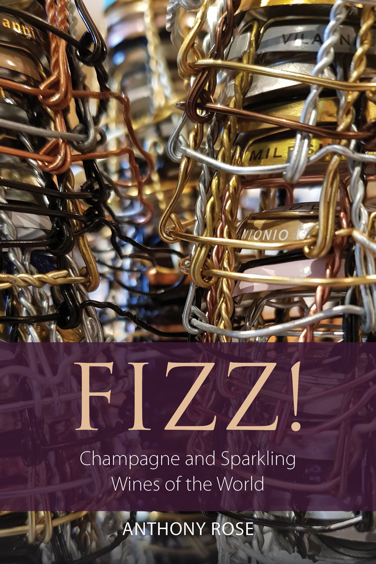 Extract: Fizz! by Anthony Rose