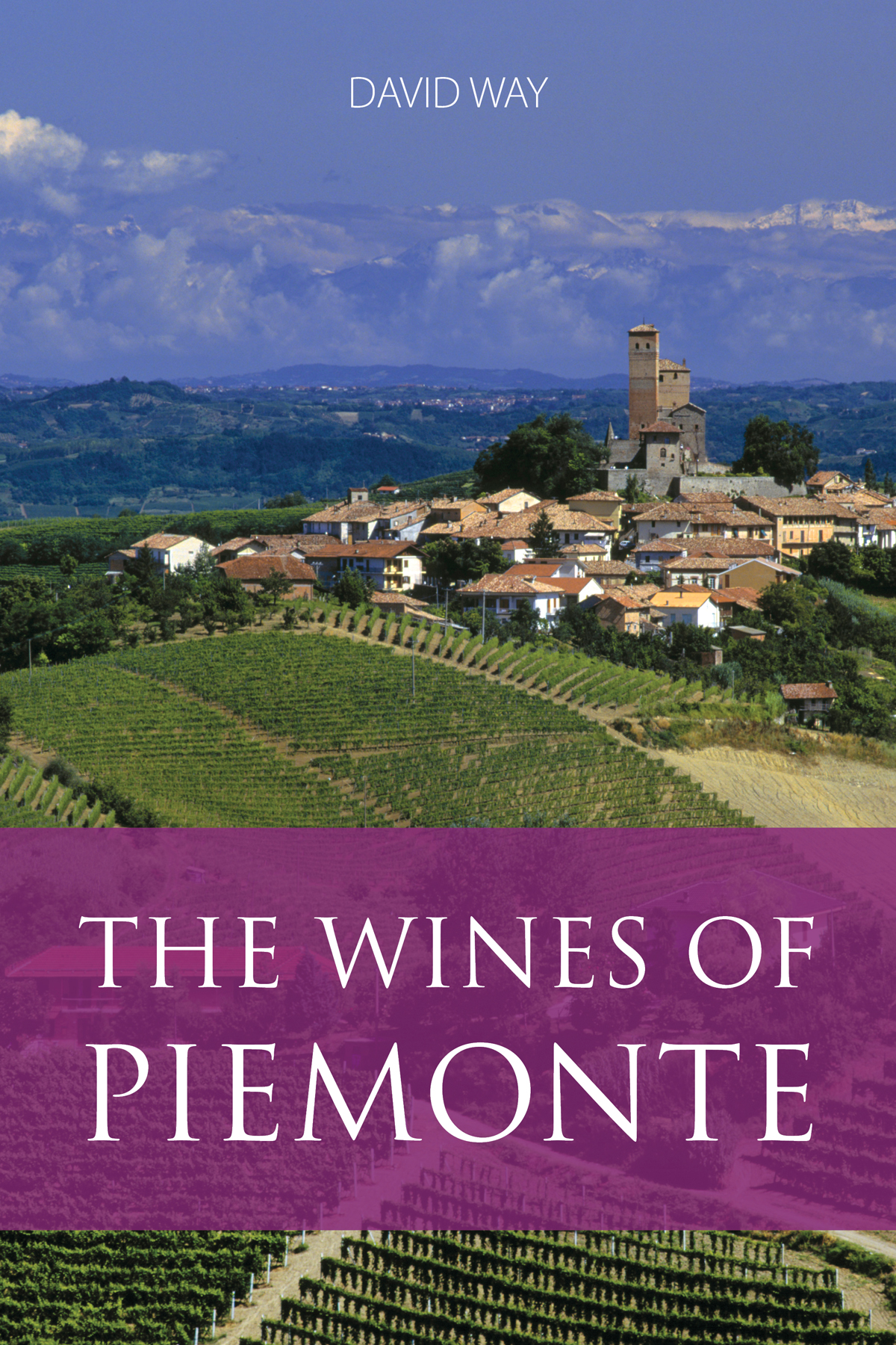 Extract: The wines of Piemonte, by David Way